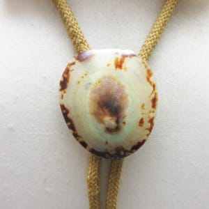 1960s Natural Shell Bolo Tie,  Vintage Beachcomber,  Coastal Western Bolo,  Mid Century 32 Inch Bola Tie