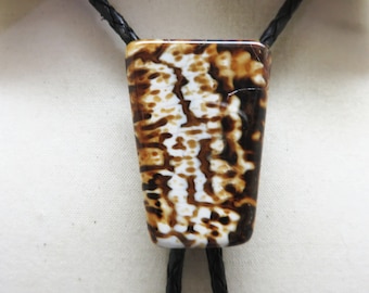 May include: A bolo tie with a brown and white shell pendant. The bolo tie has a black braided cord.