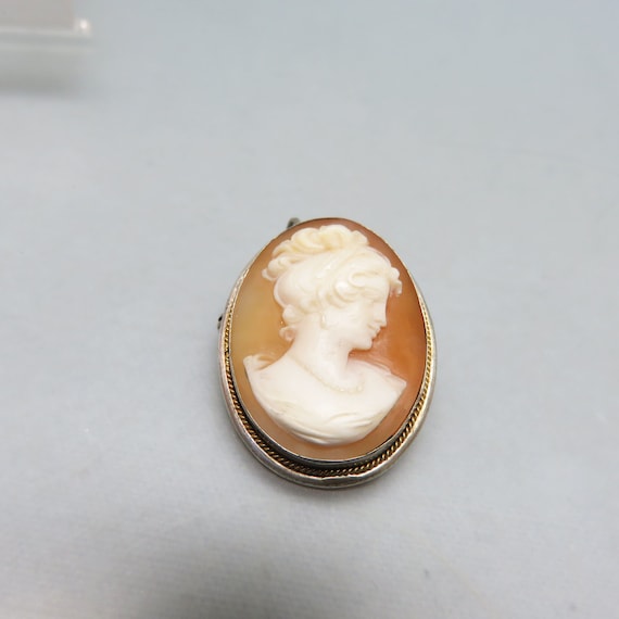 Brown and White Cameo Pin or Pendant,  Vintage Ca… - image 2