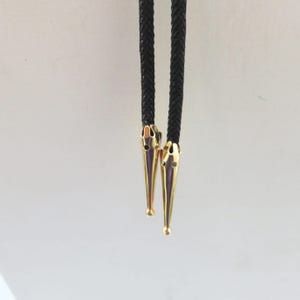 May include: A pair of black bolo tie cords with gold-colored tips. The tips have a decorative design with small holes.