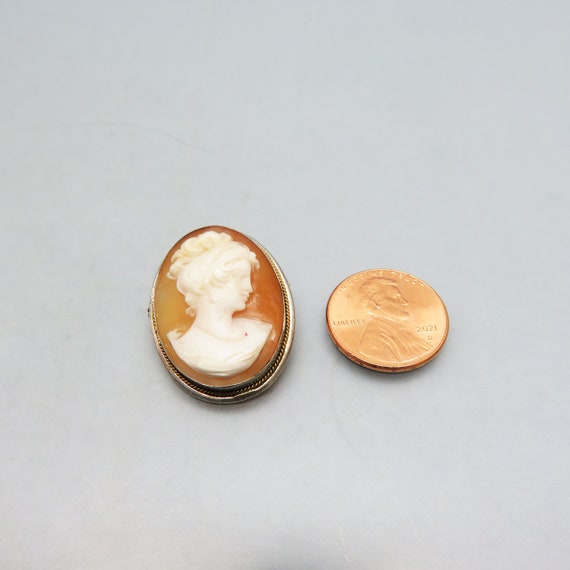 Brown and White Cameo Pin or Pendant,  Vintage Ca… - image 4