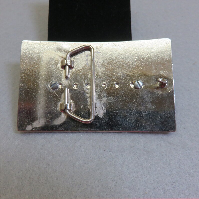 Vintage Gorgeous Colors Picture Agate Belt Buckle