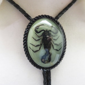 Real Scorpion in Clear Resin Bolo Tie, Gothic Glow in the Dark