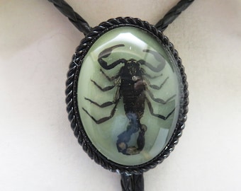 Real Scorpion in Clear Resin Bolo Tie, Gothic Glow in the Dark