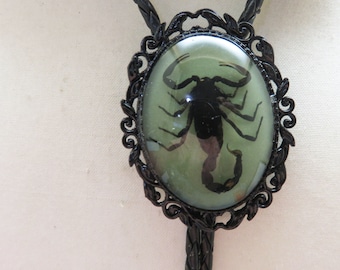 Real Scorpion in Clear Resin Bolo Tie, Gothic Glow in the Dark