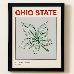 May include: A framed art print with a green leaf design on a light grey background. The words "OHIO STATE" are in red at the top. Below the leaf is the text "COLUMBUS, OHIO EST 1870". The print is in a black frame.