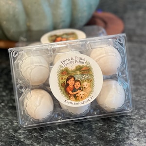 May include: A clear plastic container holding six white, round objects. A circular label on the container reads "Flora & Fauna Family Fahm" with an illustration of two children and two dogs. The text "North Smithfield, RI" is also on the label.