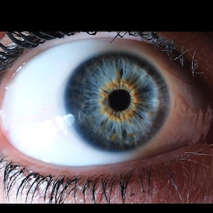 Curso de edición fotográfica de Iris, tutorial de Photoshop, práctica con archivos RAW (vídeo + maqueta)