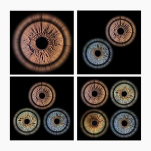 Op de afbeelding: Een verzameling gedetailleerde afbeeldingen van oogirissen, elk tegen een zwarte achtergrond. De irissen tonen een reeks kleuren, waaronder bruin, blauw en een mix van tinten. De close-up opnamen benadrukken de ingewikkelde patronen en texturen van het menselijk oog.