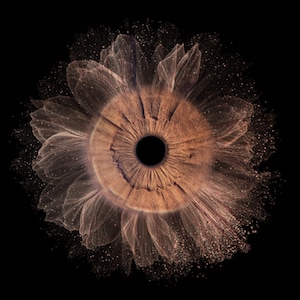 Puede incluir: Obra de arte digital que representa un ojo humano transformado en una flor. El iris es de color marr&oacute;n c&aacute;lido, con una pupila negra. Delicados p&eacute;talos transl&uacute;cidos rodean el ojo, con una dispersi&oacute;n de peque&ntilde;as part&iacute;culas sobre un fondo negro.