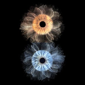 Iris Art PSD Mockup: Doppelter Blumen-Effekt Professionelle Iris-Fotovorlage Digitaler Download