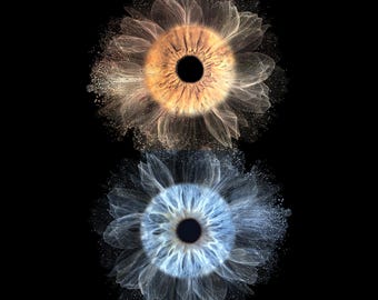 Maqueta PSD de Iris Art: Plantilla fotográfica profesional de iris con efecto de doble flor, descarga digital