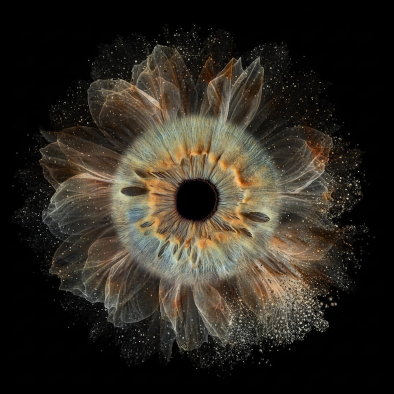 Puede incluir: Fotograf&iacute;a macro de un ojo humano, art&iacute;sticamente transformado en una flor. El iris muestra tonos de azul, verde y marr&oacute;n, con una pupila negra en el centro. Delicados p&eacute;talos transl&uacute;cidos rodean el ojo, sobre un fondo negro.