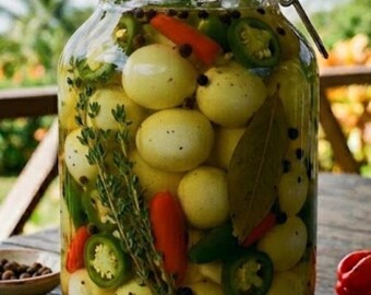 Special Jamaican Ghana Pickled Quail eggs, many options, Cajun, jalapeño, curry, Caribbean Special eggs. Taste Di Island