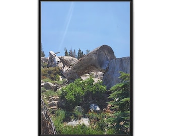 Log in the Sierra Nevada Mountains. Sierra Nevada Wall Art Matte Canvas, Black Frame