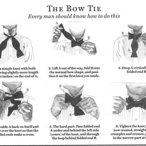 freestyle bow tie