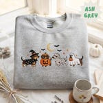 Dachshund Clothing