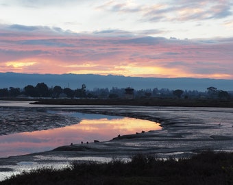 Palo Alto Baylands winter sunset: 8 x 10, charity donation