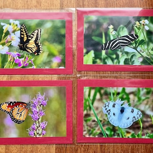 Juego de tarjetas con mariposas n.° 1, aptas para enmarcar: DONACIÓN BENÉFICA