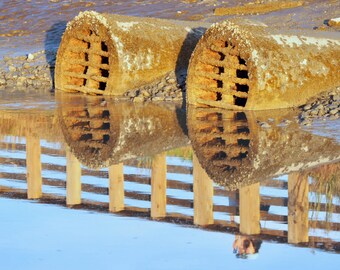 Palo Alto Baylands reflections: 5 x 7 photograph CHARITY DONATION