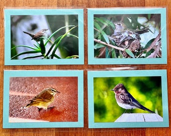 Bird notecard set #2, suitable for framing: CHARITY DONATION