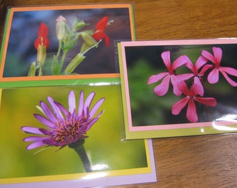 Trio of flowers: set of note cards with 4 x 6 prints CHARITY DONATION