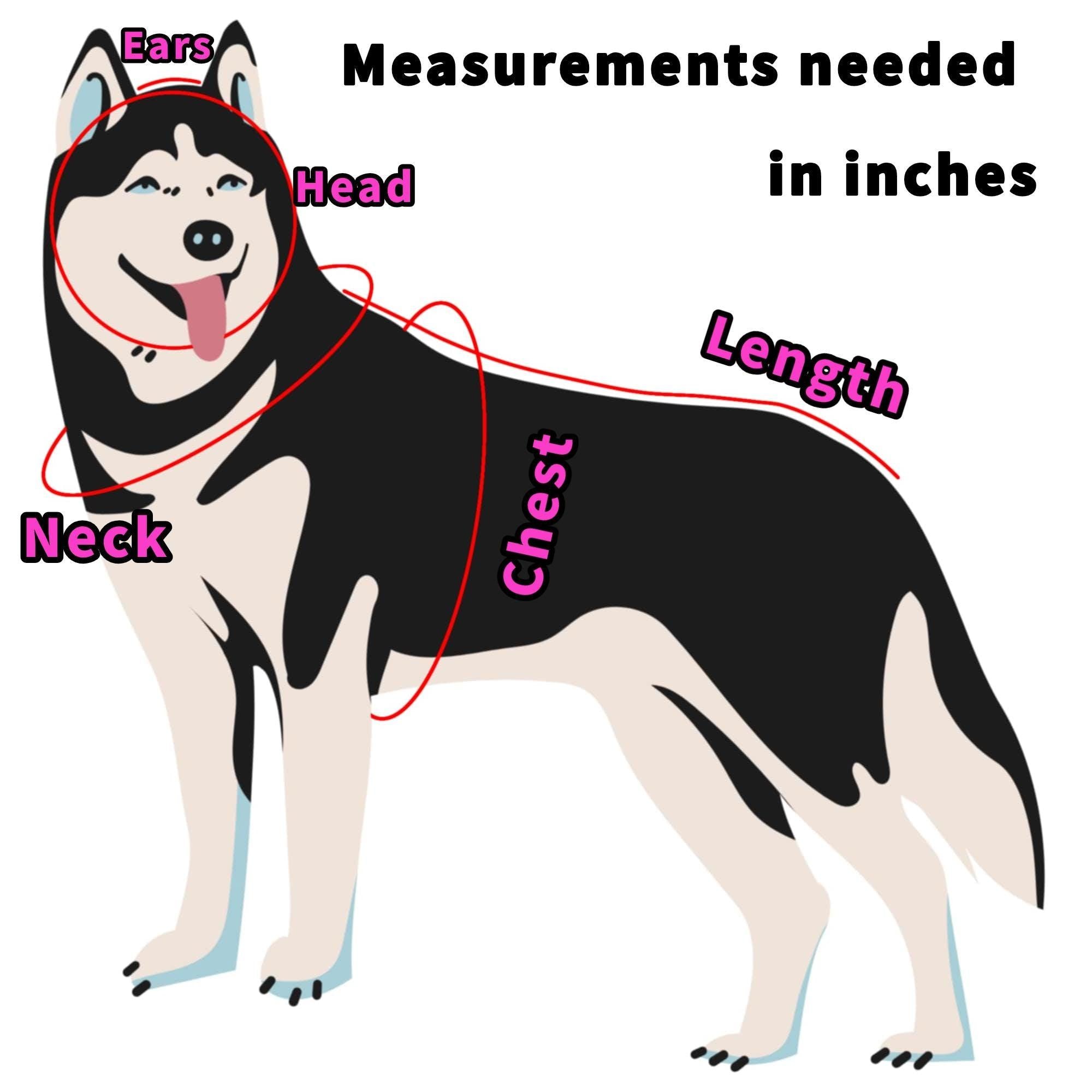 Custom Handmade Pet Outfit to Your Pets Measurements, Witchy Familiar Fashion - Thumbnail 5