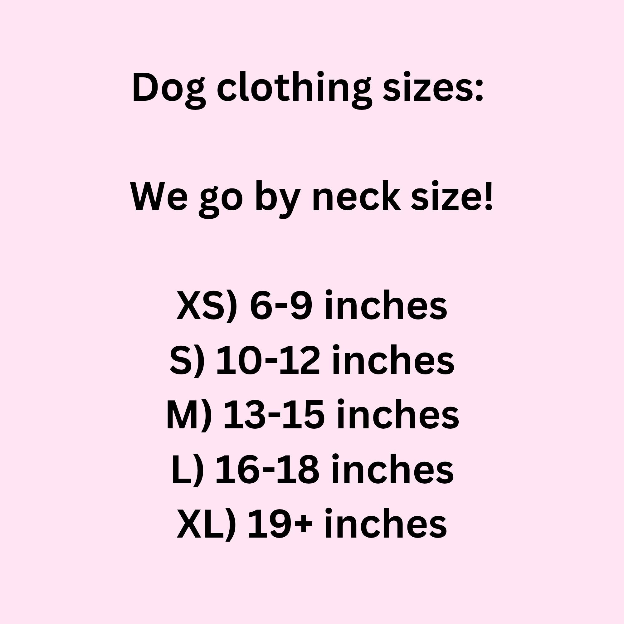 Custom Handmade Pet Outfit to Your Pets Measurements, Witchy Familiar Fashion - Thumbnail 6