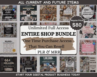 Ultimate PLR Whole Shop Bundle, Entire Section Bundle, MRR Viral Inspirational Videos for TikTok Instagram YouTube Digital Marketing Short