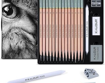 KALOUR 18-Piece Sketch Pencil Set, Professional Drawing Kit for Artists and Beginners