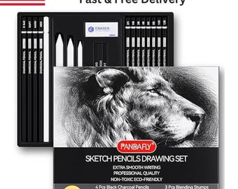 22-Piece Drawing Pencil Set | Graphite Pencils 12B–2H & Charcoal Art Kit for Sketching