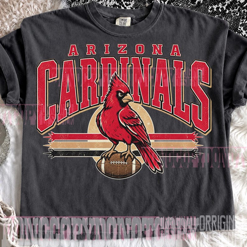 May include: A charcoal gray t-shirt featuring a graphic print of a red cardinal bird perched on a brown football. The text reads ARIZONA CARDINALS in large red block letters. The design includes horizontal stripes in red, tan, and black colors.