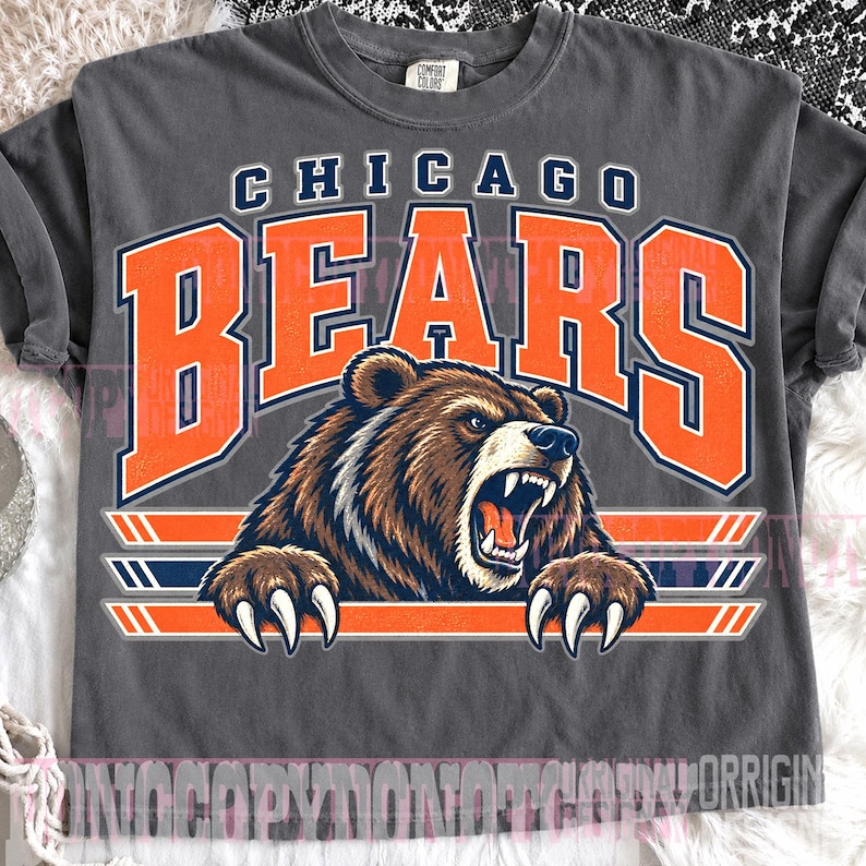 May include: A charcoal gray short-sleeve t-shirt featuring a graphic print of a snarling brown bear with claws extended. The text CHICAGO BEARS is printed in large orange and navy blue block letters above the bear, with horizontal stripes below.