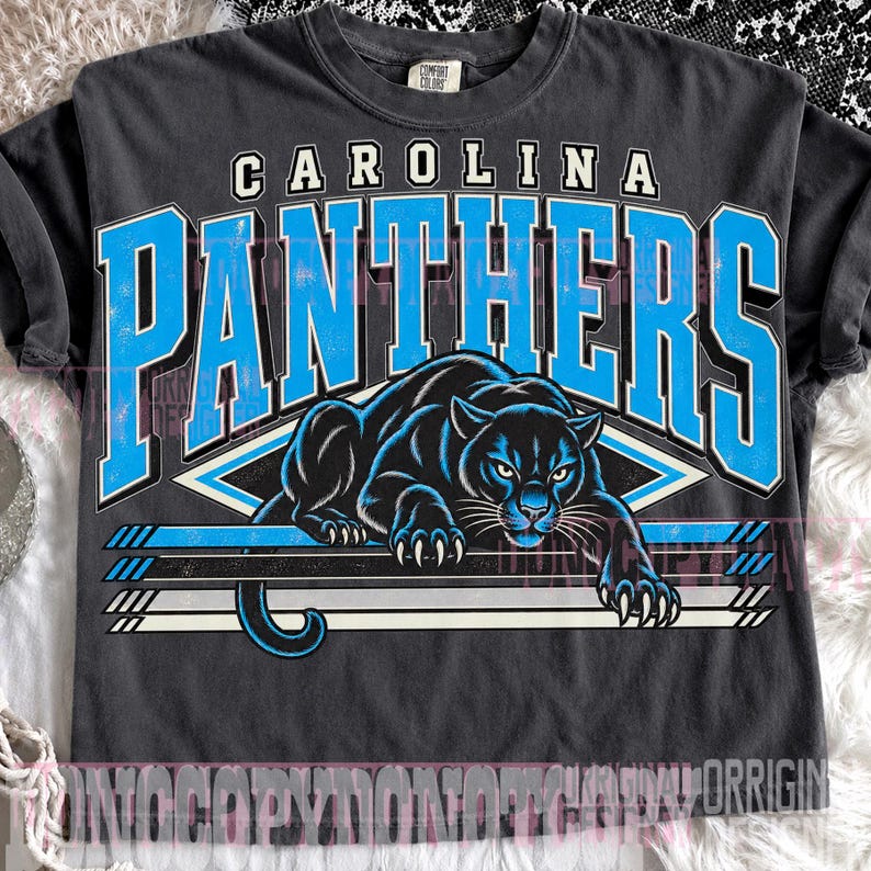 May include: A charcoal gray t-shirt featuring the text CAROLINA PANTHERS in large blue and white block letters. A graphic of a black panther in a crouching position is centered below the text, positioned above three horizontal stripes.