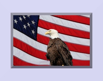 白頭ワシとアメリカ国旗のアート：愛国的なアメリカの装飾（デジタル