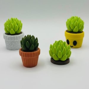 以下が含まれることがあります： さまざまな鉢植えの4つのミニチュア多肉植物。1つは灰色の鉢、もう1つはテラコッタの鉢、3つ目は顔のある黄色の鉢に入っています。多肉植物は緑色です。