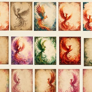 May include: A collection of watercolor art prints featuring phoenixes in various colors. Each print showcases a phoenix with outstretched wings against a vintage-style background with decorative borders. The phoenixes are depicted in shades of red, orange, green, and purple.
