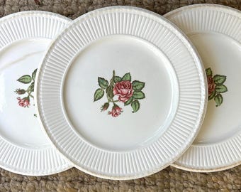 Set van 3 wedgwood borden met mosroos - 10 inch bloemen transferware China, Barlaston Engeland