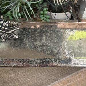 May include: Silver-toned rectangular tray with a grape cluster and leaf design on one corner. The tray has a reflective surface and is likely made of metal. Ideal for serving or display.