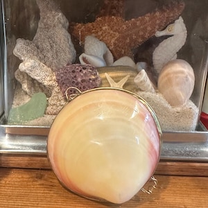 May include: A circular pendant featuring a polished, smooth seashell with cream and soft pink concentric bands, encased in a thin gold-toned metal frame with a small loop at the top for attachment to a chain or cord.