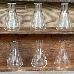 May include: Ten clear glass Erlenmeyer flasks with a white dot on the front, arranged in two rows on a wooden shelf. The flasks have a conical shape and a narrow neck. The background is a wooden surface.