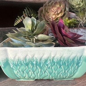 May include: A turquoise ceramic planter with a textured pattern, containing succulents. The planter has a white-to-turquoise gradient and is on a wooden surface. Other succulents are in the background. The planter is rectangular.