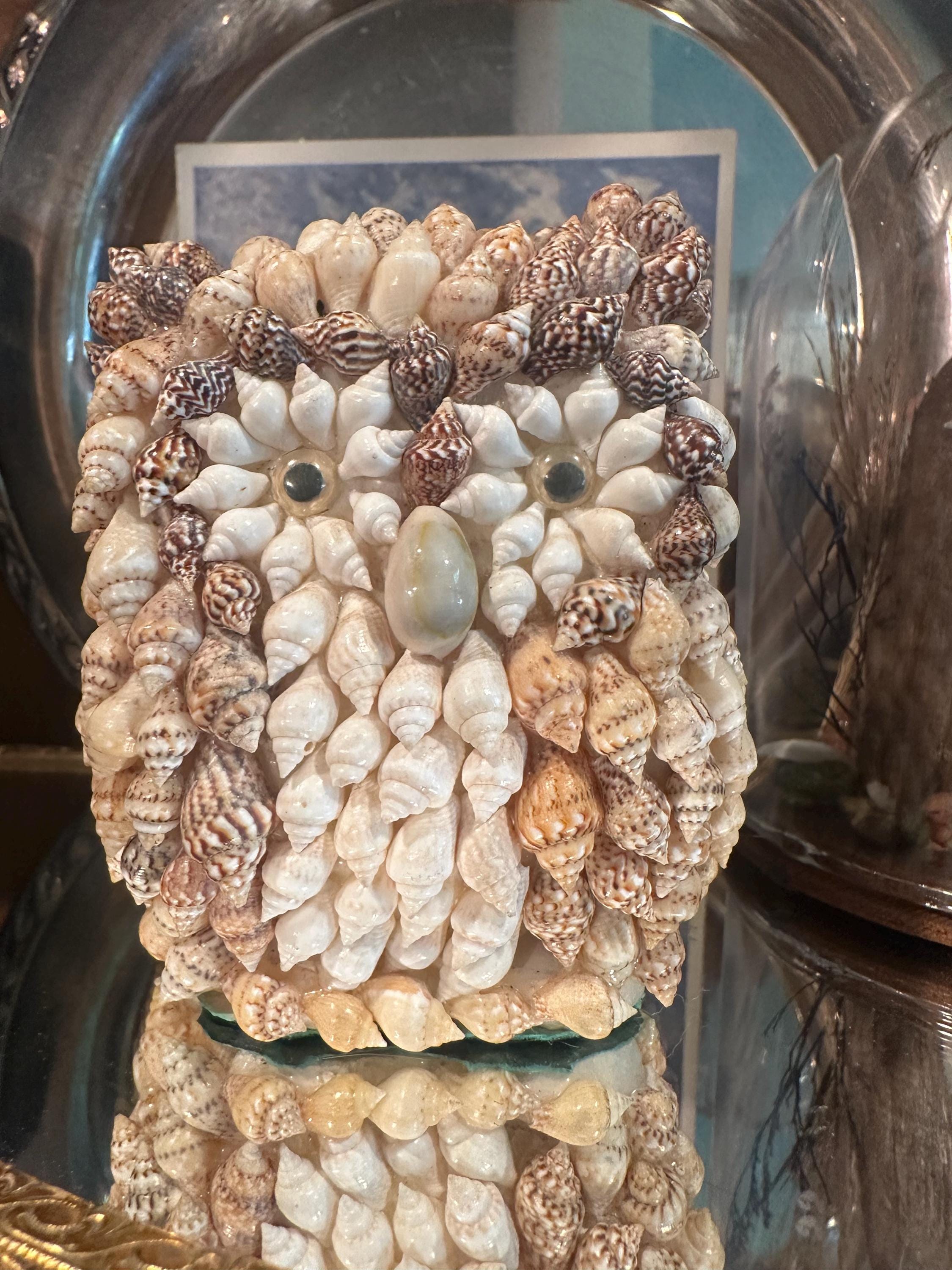 Philippines Shell Souvenir - Etsy