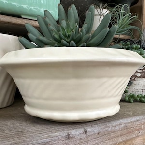 May include: A cream ceramic planter with a textured, ridged design. It contains a succulent plant with blue-green leaves. The planter is on a wooden shelf, creating a rustic aesthetic. The planter is approximately 20 cm in diameter.