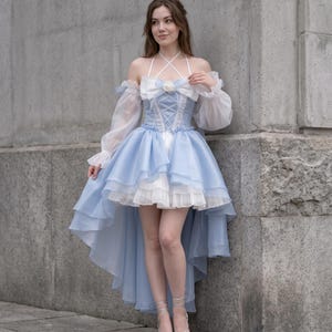 princess style dresses adults for Women Princess Cosplay Halloween Full Set with Crown Earrings Gloves (US Size) : Clothing, Shoes & Jewelry enought for your daily wearing 2 Princess and the Pauper Dresses
