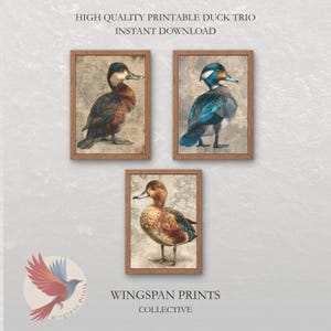 May include: Three framed prints featuring detailed illustrations of ducks. The ducks have brown, blue, and teal plumage, set against a vintage map background. The frames are a warm brown color. Text at the top reads "HIGH QUALITY PRINTABLE DUCK TRIO INSTANT DOWNLOAD".
