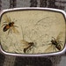 see more listings in the BELT BUCKLES section