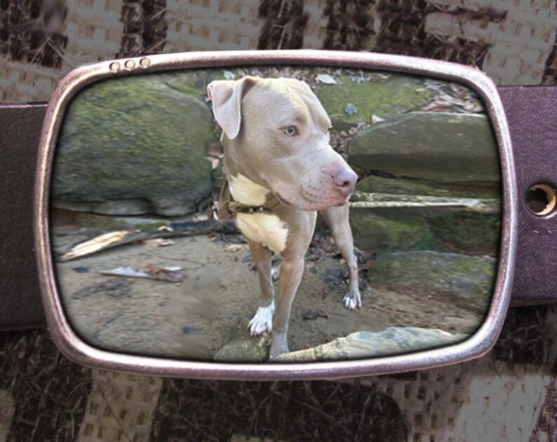 Anpassat bältesspänne för hundfoto – Handgjord minnesgåva för husdjur bild 10