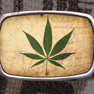 Op de afbeelding: Een zilveren gesp met een vintage ontwerp met een groen marihuanablad op een crèmekleurige achtergrond met vervaagde tekst.