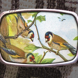 Three Little Birds Vintage Print Belt Buckle, Gift for Birdwatcher, Sparrow Nest